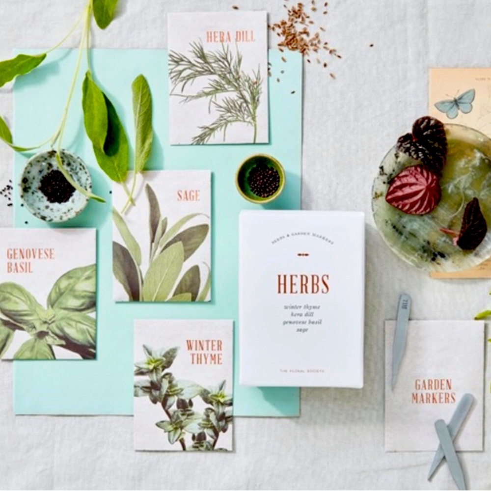The Floral Society's Herbs- Winter Thyme, Hera Dill, Genovese Basil and Sage